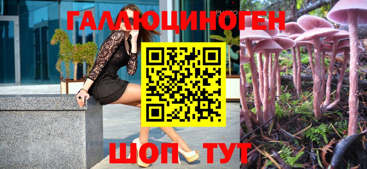 Галлюциногенные грибы Magic Shrooms Нововоронеж